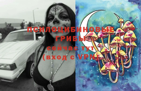 соль ск Снежинск