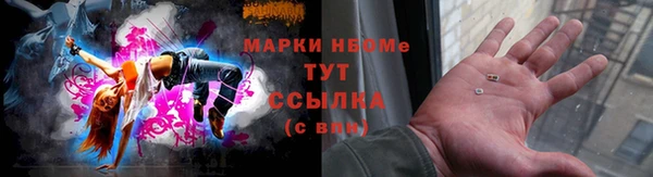 соль ск Снежинск