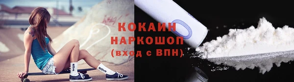 соль ск Снежинск